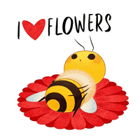 World Bee Day Gifs Find Share On Giphy