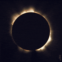 How The Eclipse Look Like For The Trumps Gifs Get The Best Gif On Giphy