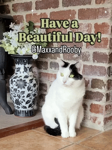 Have A Beautiful Day GIF