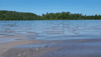 Au Sable River GIF
