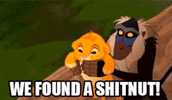 Lion King Crypto GIF by DONUTs