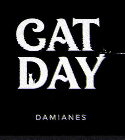 Cat Day GIF by AW