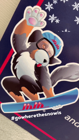 Mtstlouismoonstone GIF