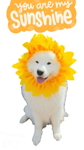 Sun Loving Sticker