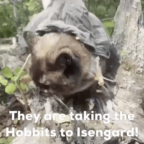 Hobbits GIF