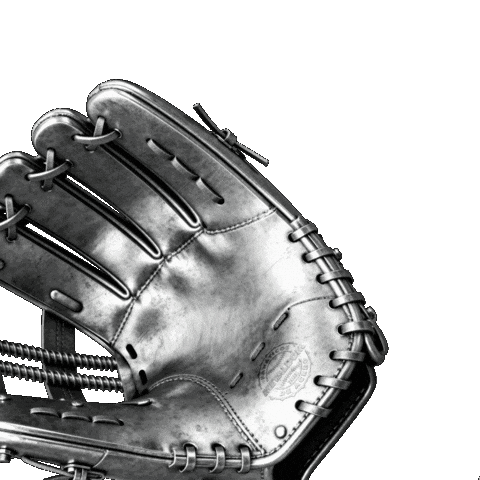 Fanatico De Acero Sticker by Metaldom