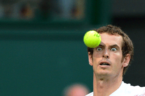 gael monfils