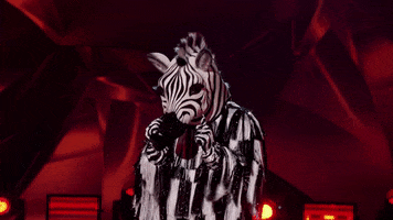 Zebra GIF by The Masked Dancer