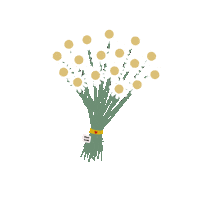 Flowers Daisy Sticker