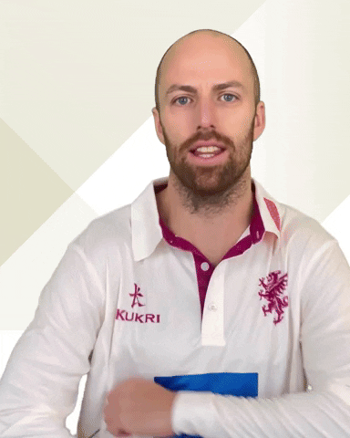 England Cricket GIF by Somerset County Cricket Club