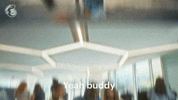 Office Lol GIF by Mailchimp
