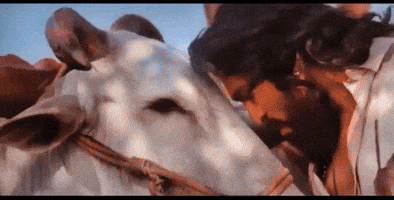 Ram Charan Telugu GIF by Sharat overseas distribution