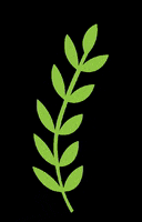 200.gif?cid=fc005b08f1a589d6e4d935914d94b9db34acafe19ddbeaf9&rid=200.gif&ct=g