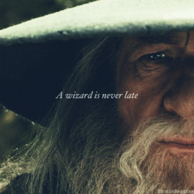 Image result for a wizard is never late gif