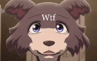 Wtf GIF