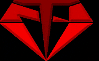 Veneto Studio GIF