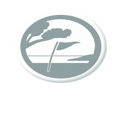 Hotel Mv Sticker by Mundstueck