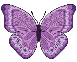 Butterfly Sticker