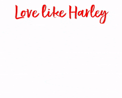 Teddy Harley GIF by Harley's Dream