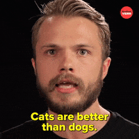 buzzfeed-cats-dogs-aBepW3VlO5j0kx5zxS