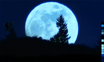 upload steven spielberg GIF