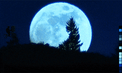 upload steven spielberg GIF