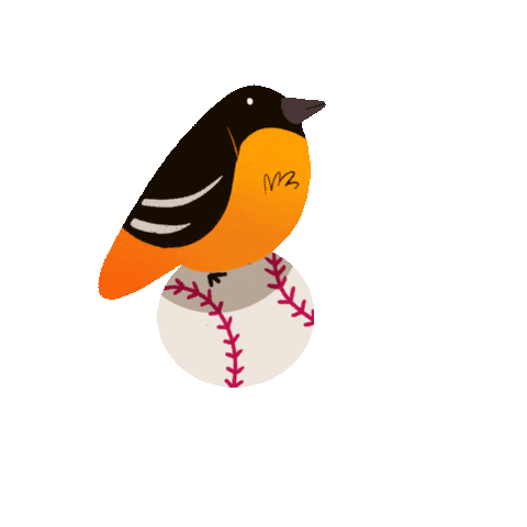 Baltimore Orioles Baseball Sticker