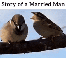 Marriage GIF