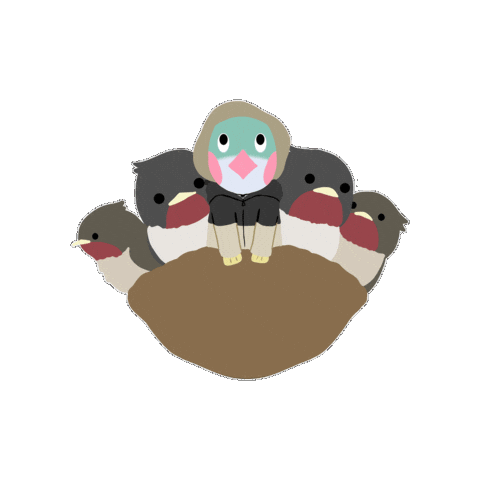 Bird Spring Sticker by Shimizukouen