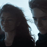 Film Protect GIF by Dune Movie