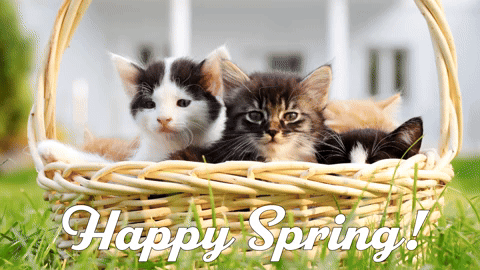 Happy First Day Of Spring Clips - Find & Share on GIPHY