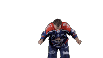 Ducs Dangers Hockey Sticker by Les Ducs d'Angers