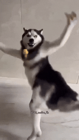 Kunjaad GIF