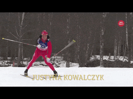seconds skier GIF