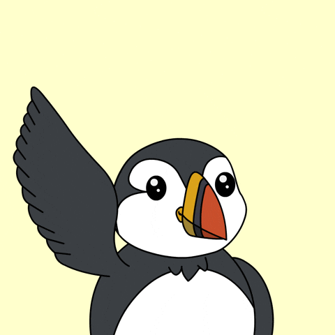 Puffins GIF