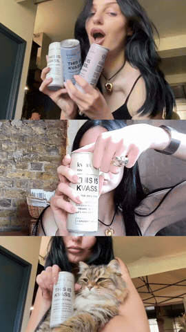 Cat Kvass GIF by Spooky’s Kiosk