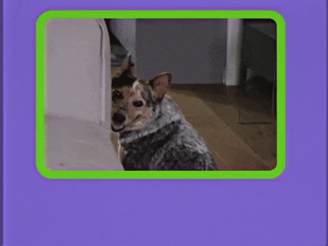 Hungry GIF - Find & Share on GIPHY