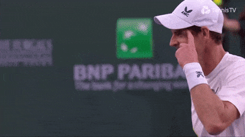 Andy Murray Sport GIF by Tennis TV