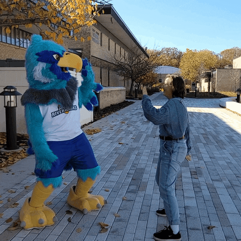 High Five GIF by Anne Arundel Community College