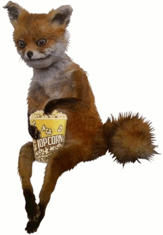 Meme gif. A creepy-looking semi-realistic fox that might be taxidermy with human-looking eyes stares at us holding a bucket of popcorn. It takes a piece out of the bucket and eats in a perfect loop. 