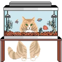 cat