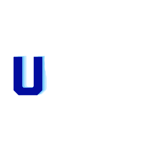 University of Mary Washington SAE Sticker