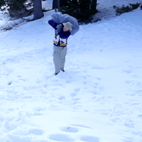 Transparent-snow GIFs - Get the best GIF on GIPHY