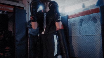 200.gif?cid=fc005b087047bf2b6de3f6cfa32ba96000fa9d45618e5ded&rid=200.gif&ct=g