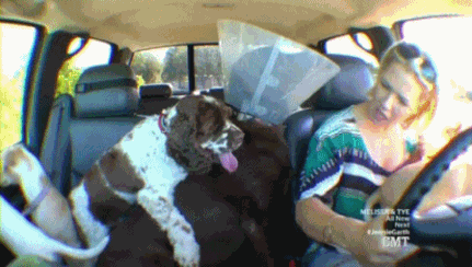 Jennie-garth-s GIFs - Get the best GIF on GIPHY