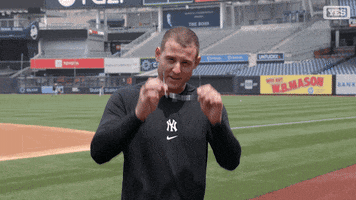 Sexy Baseball GIF by YES Network