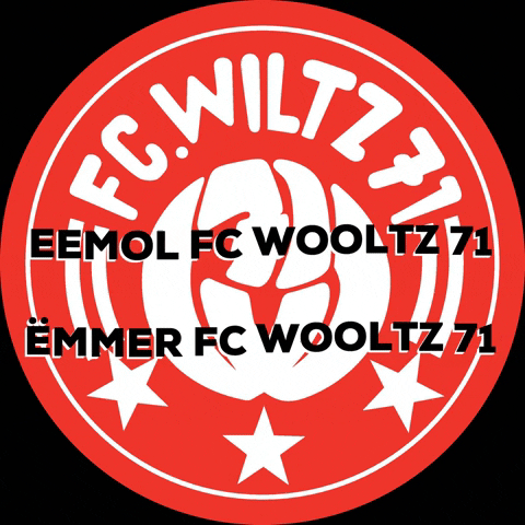 fcwooltz71 logo fcwiltz71 GIF