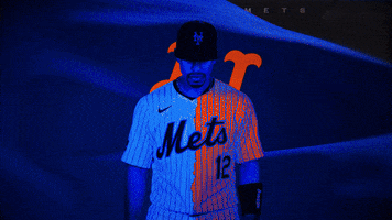 Sport Baseball GIF by New York Mets