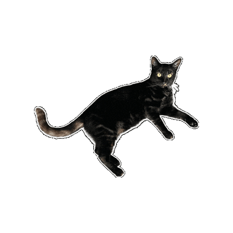 Cat Sticker by Rega Marketing