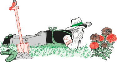 Flowers Garden Sticker by Gärtner Pötschke